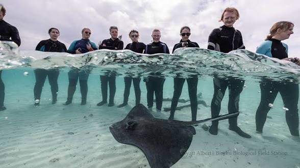 Snorkelers with manta ray