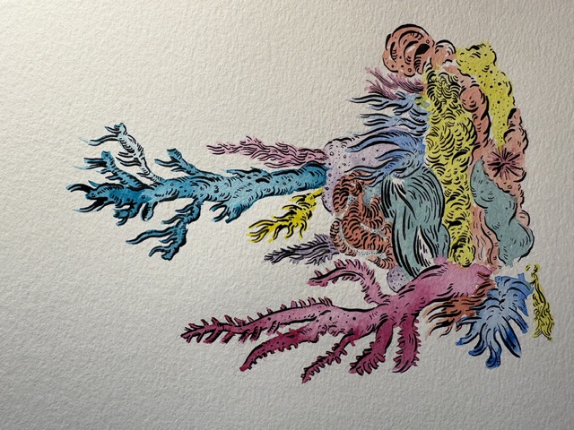 Colorful coral reef