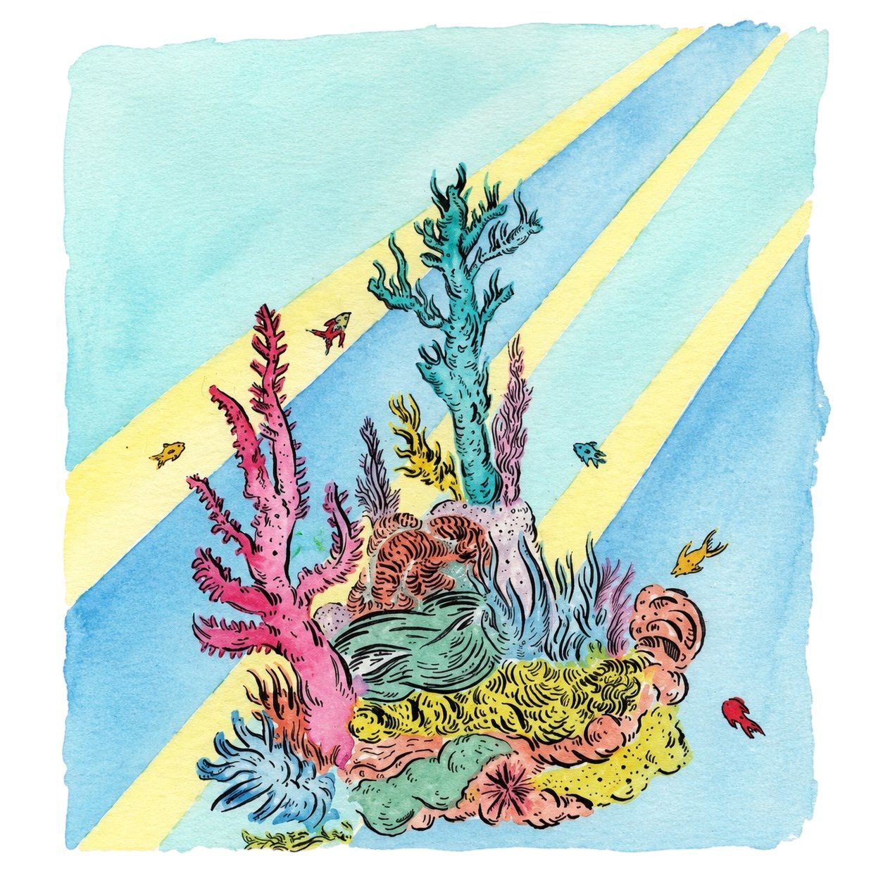 Coral reef