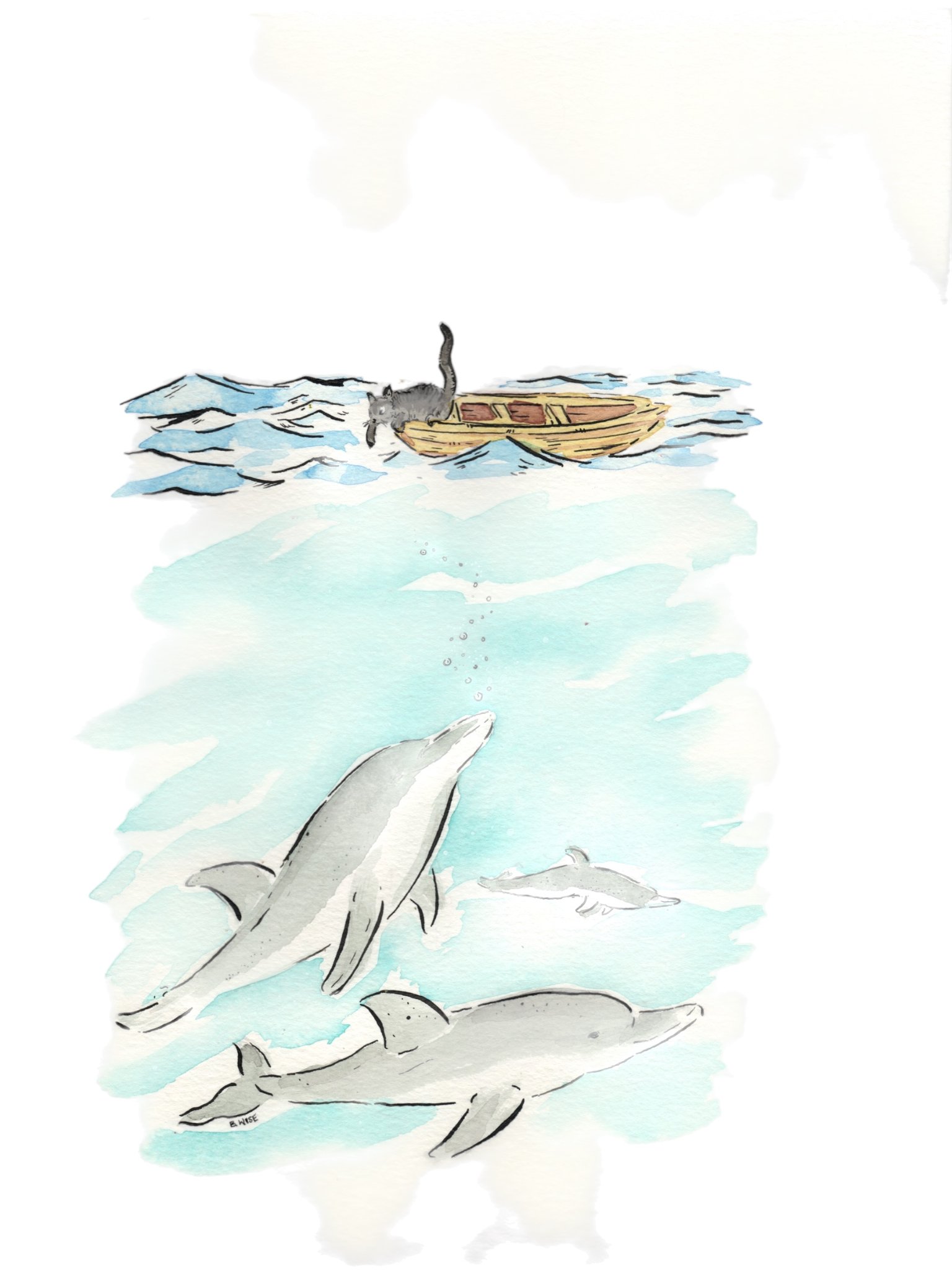 Cat on boat with dolphins
